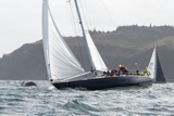 gumdrop gbr3669t whyw25 800_7347